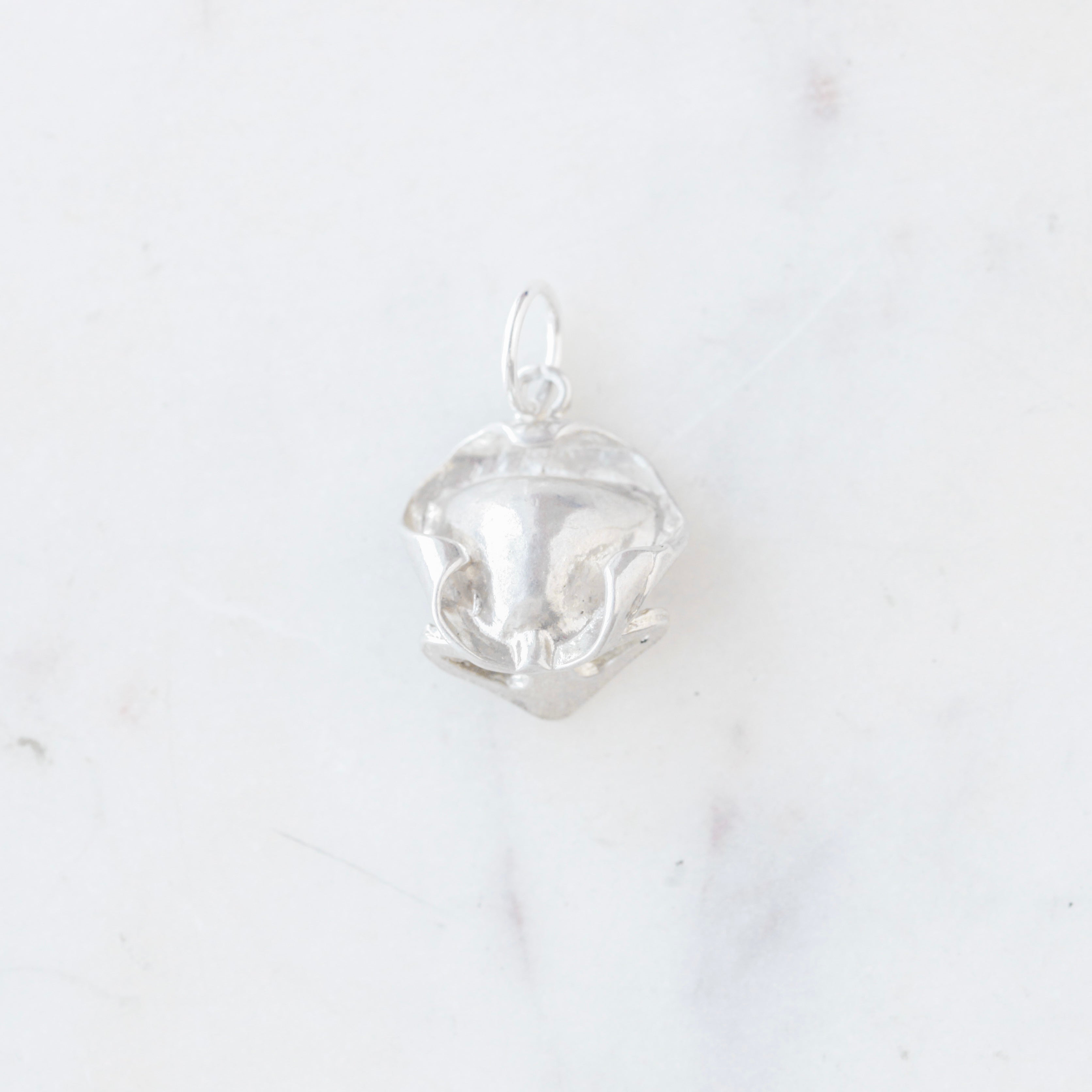 Sterling Silver Charm Collection