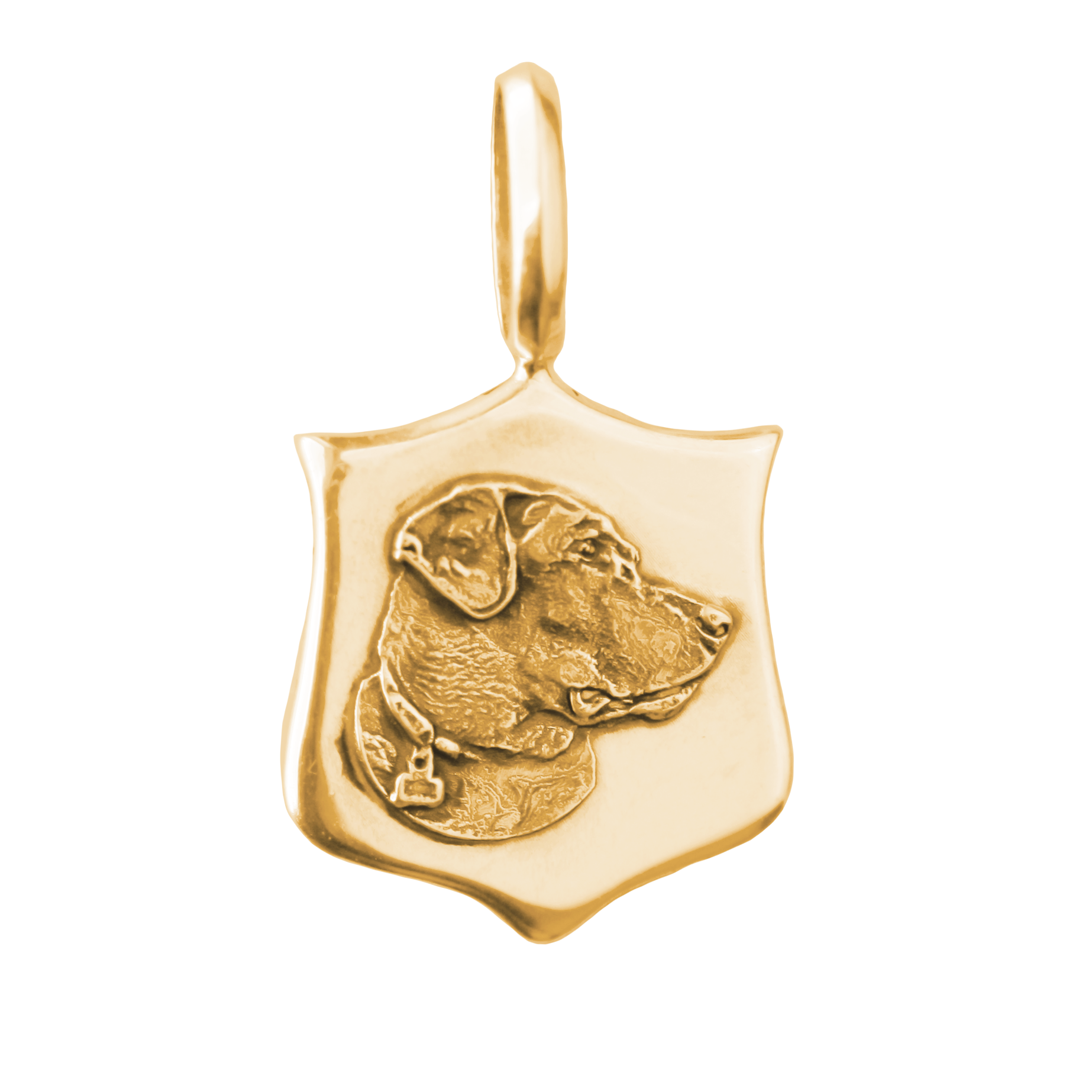Custom Elias Pet Medallions