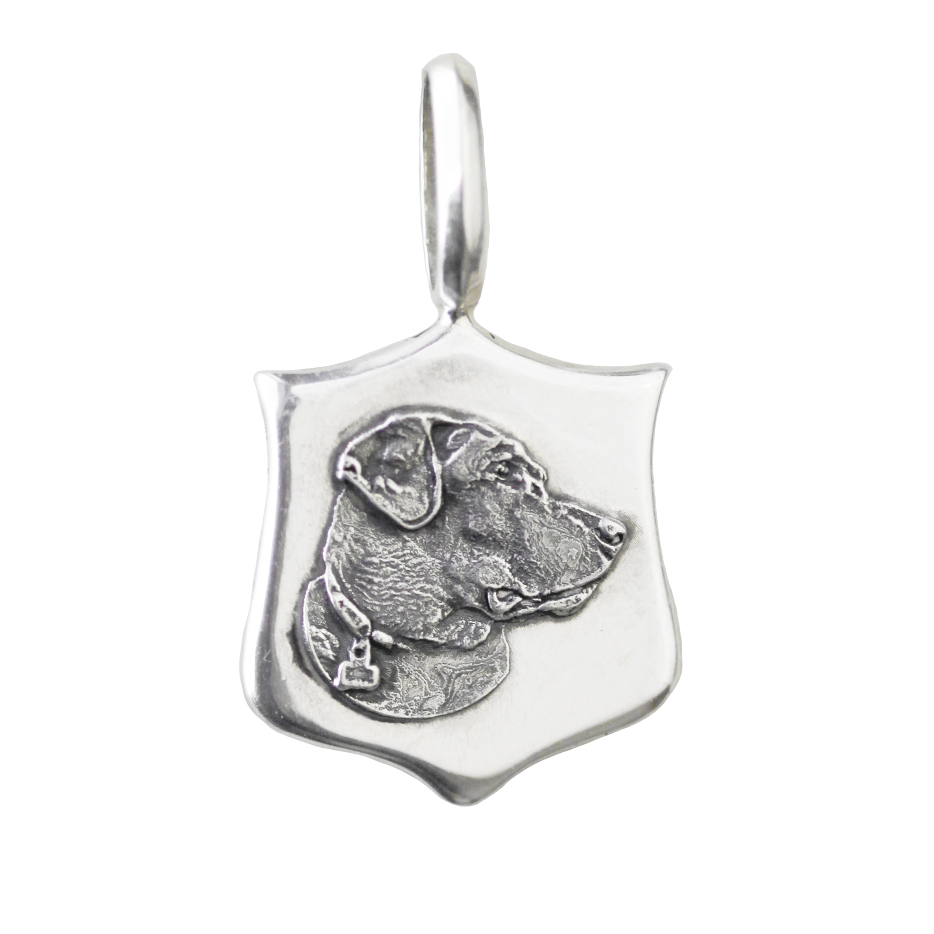 Custom Elias Pet Medallions