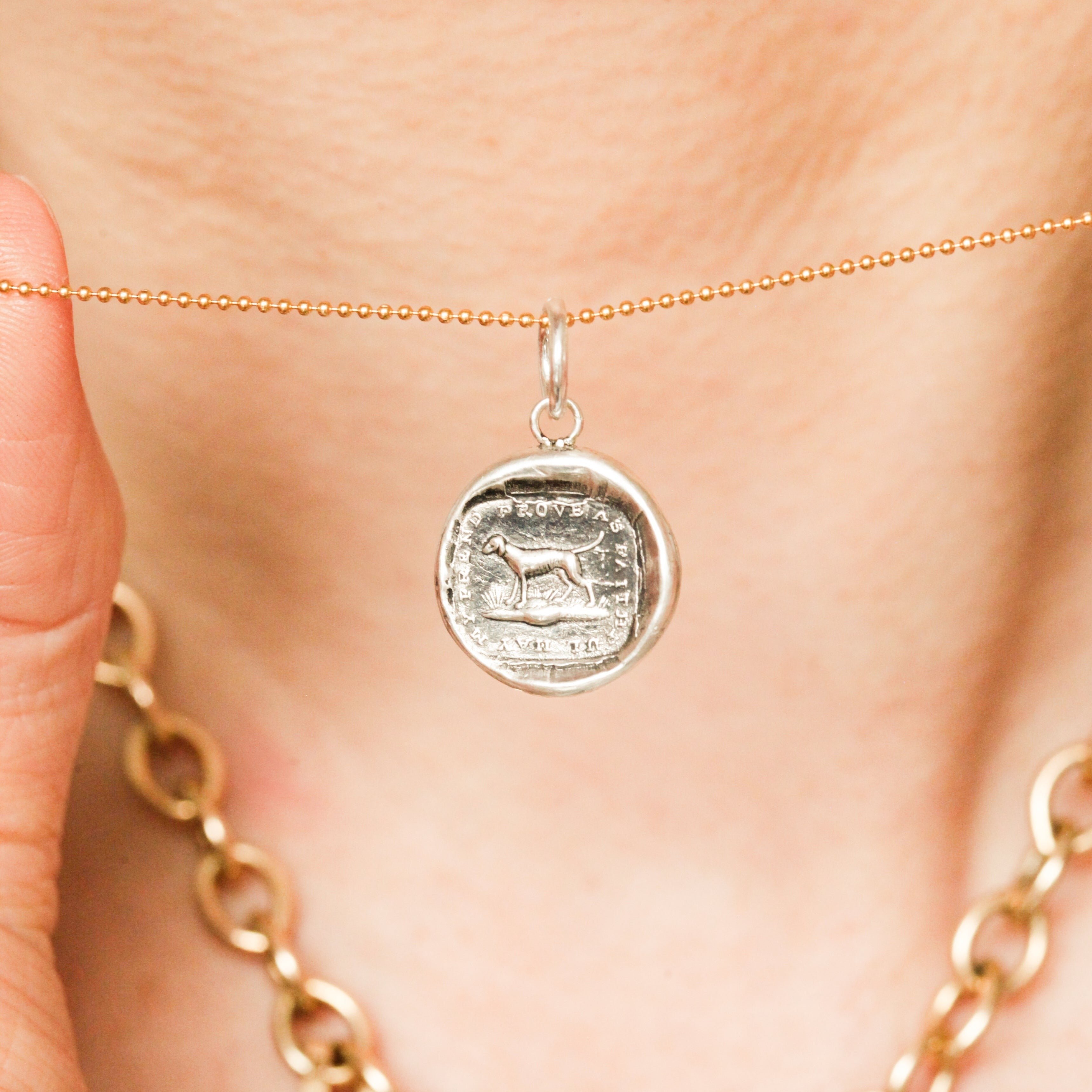 "Faithful Friend" Silver Charm