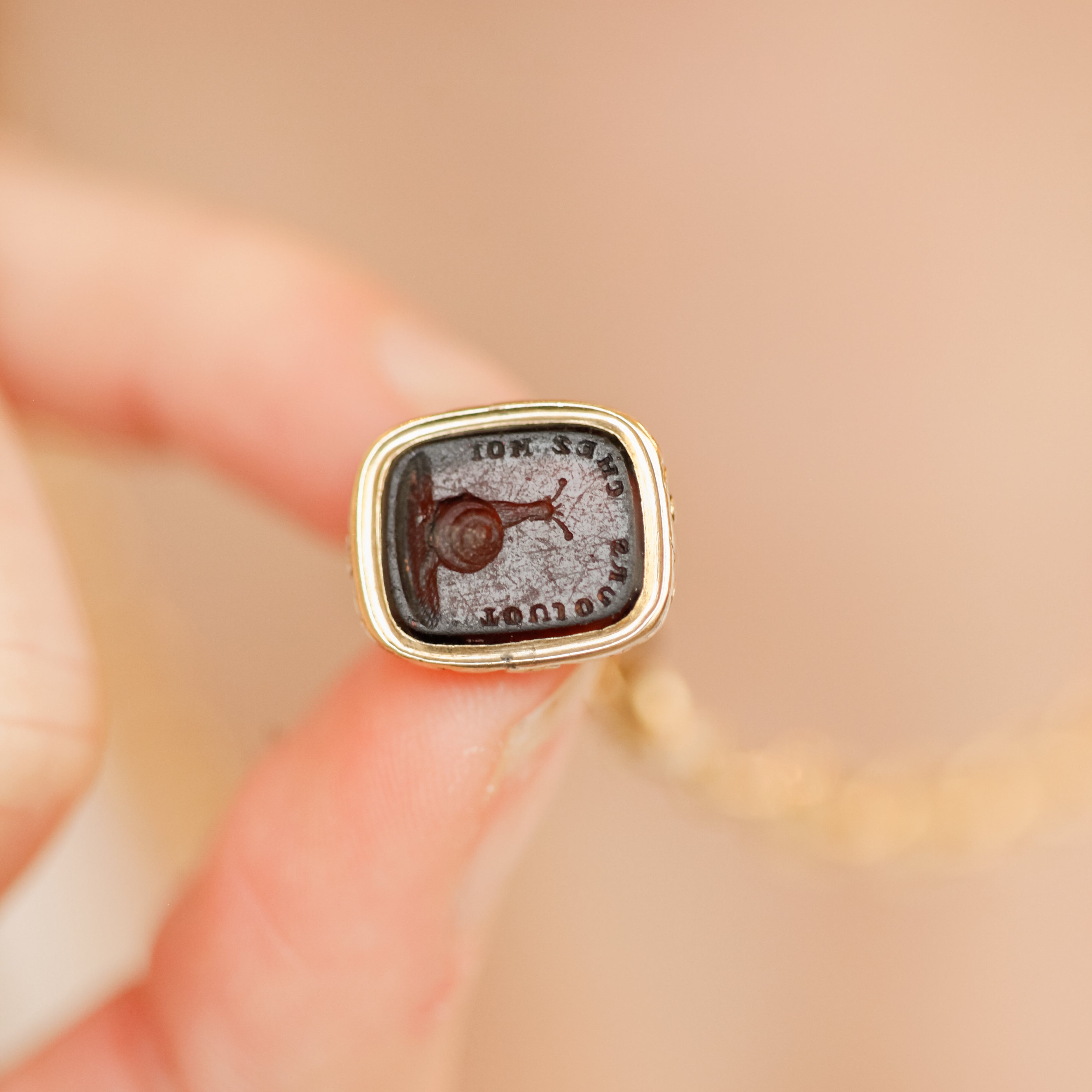 "Always At Home" French Snail Seal