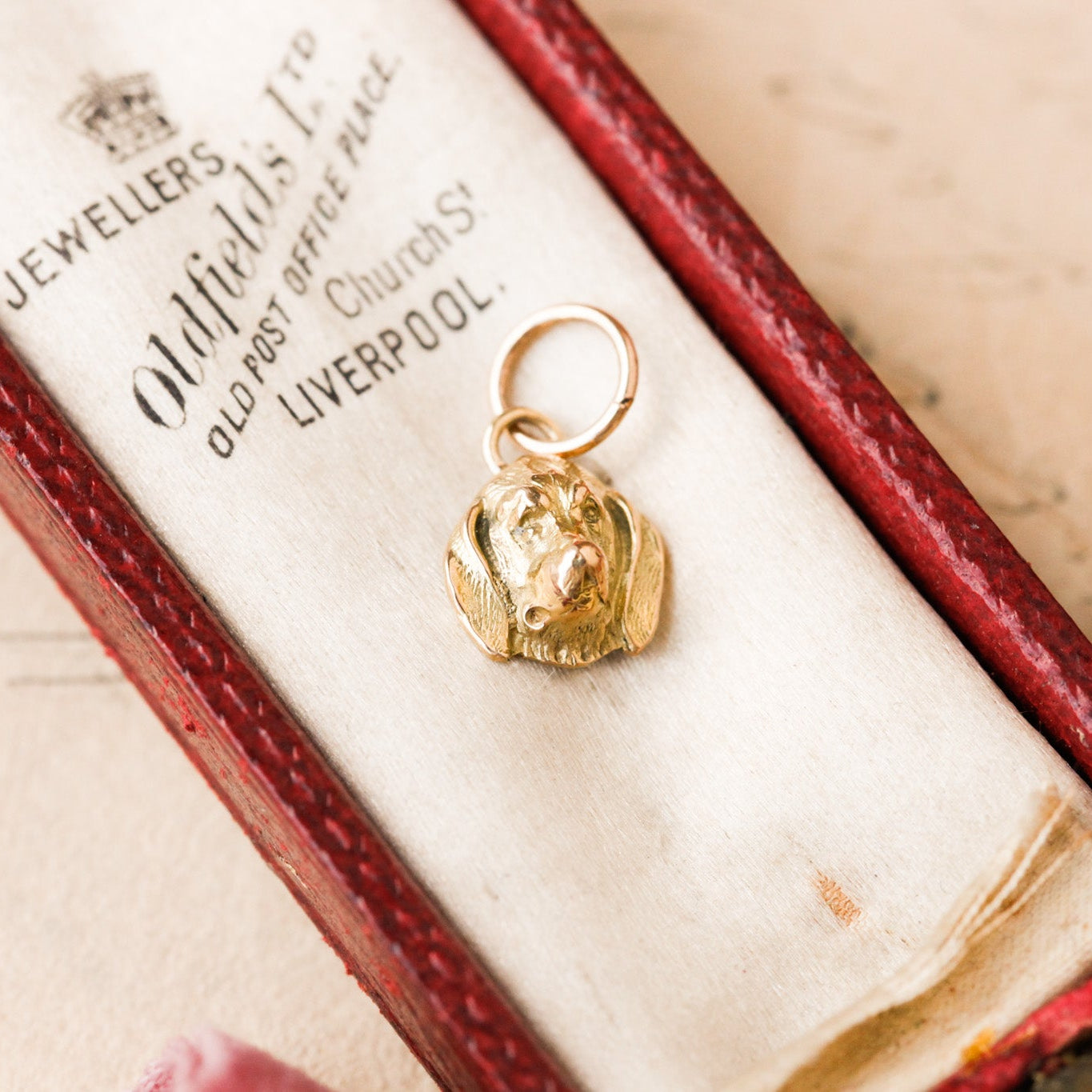 Petite Gold Hound Charm