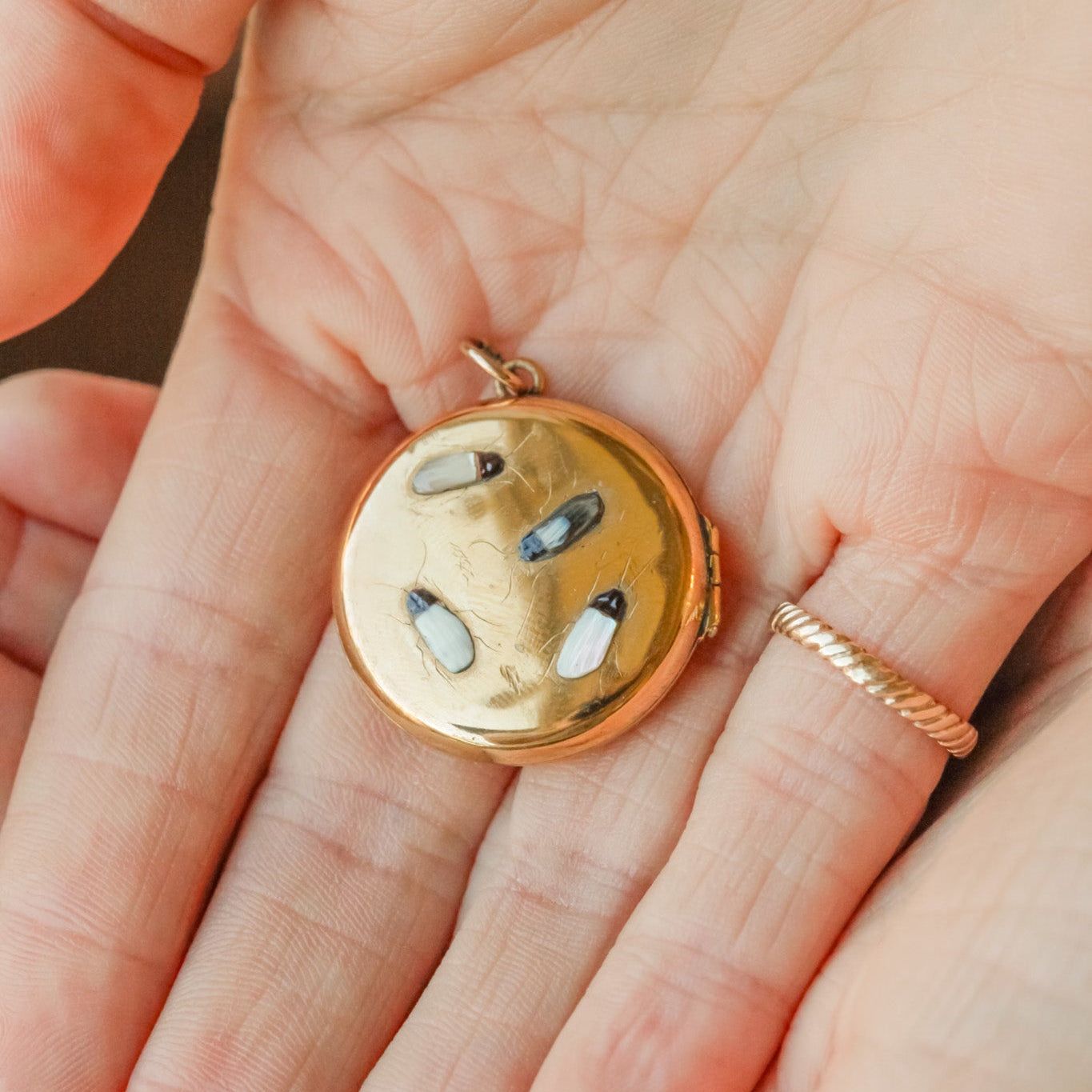Victorian Shibayama Insect Locket