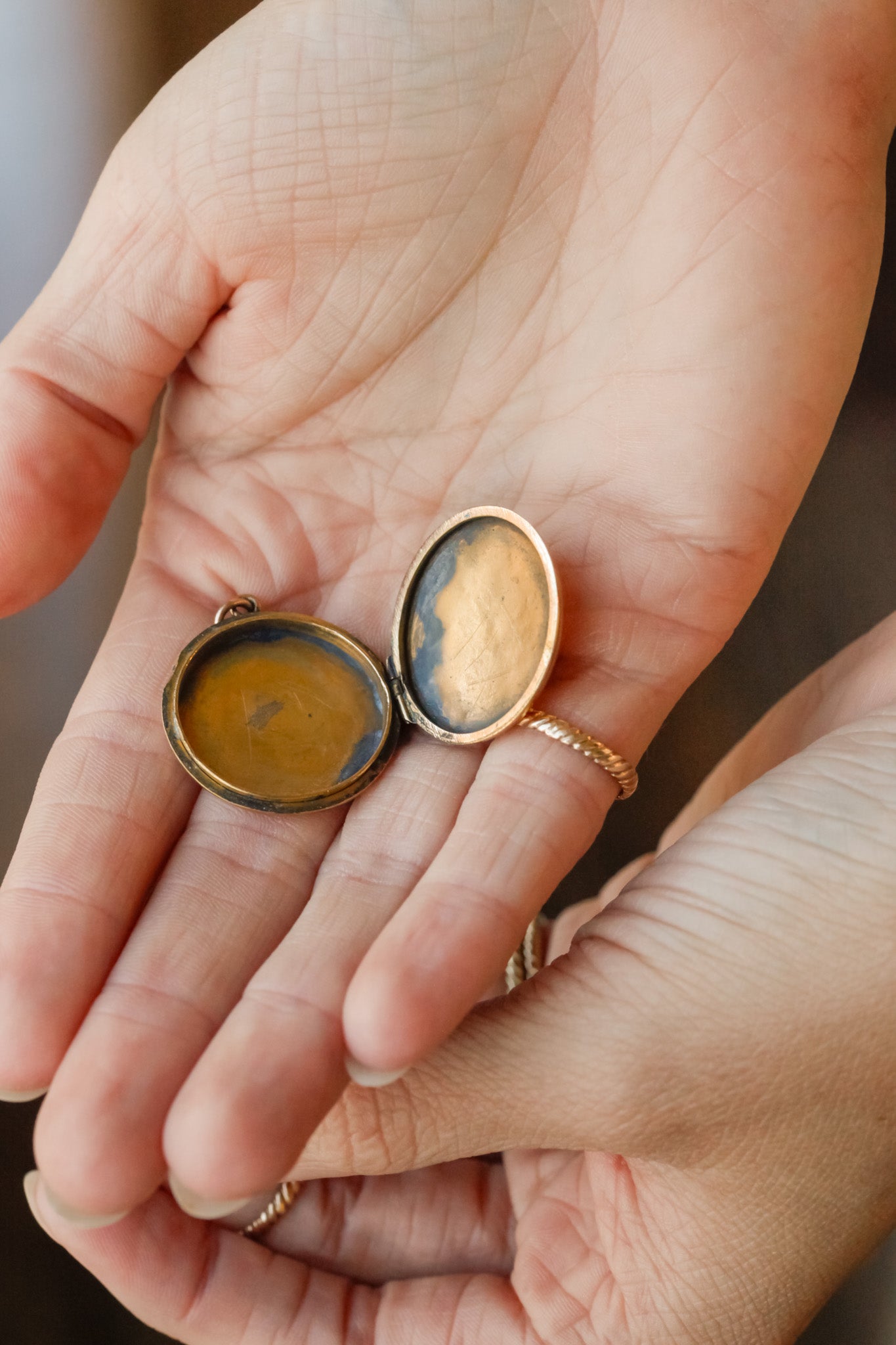 Victorian Shibayama Insect Locket