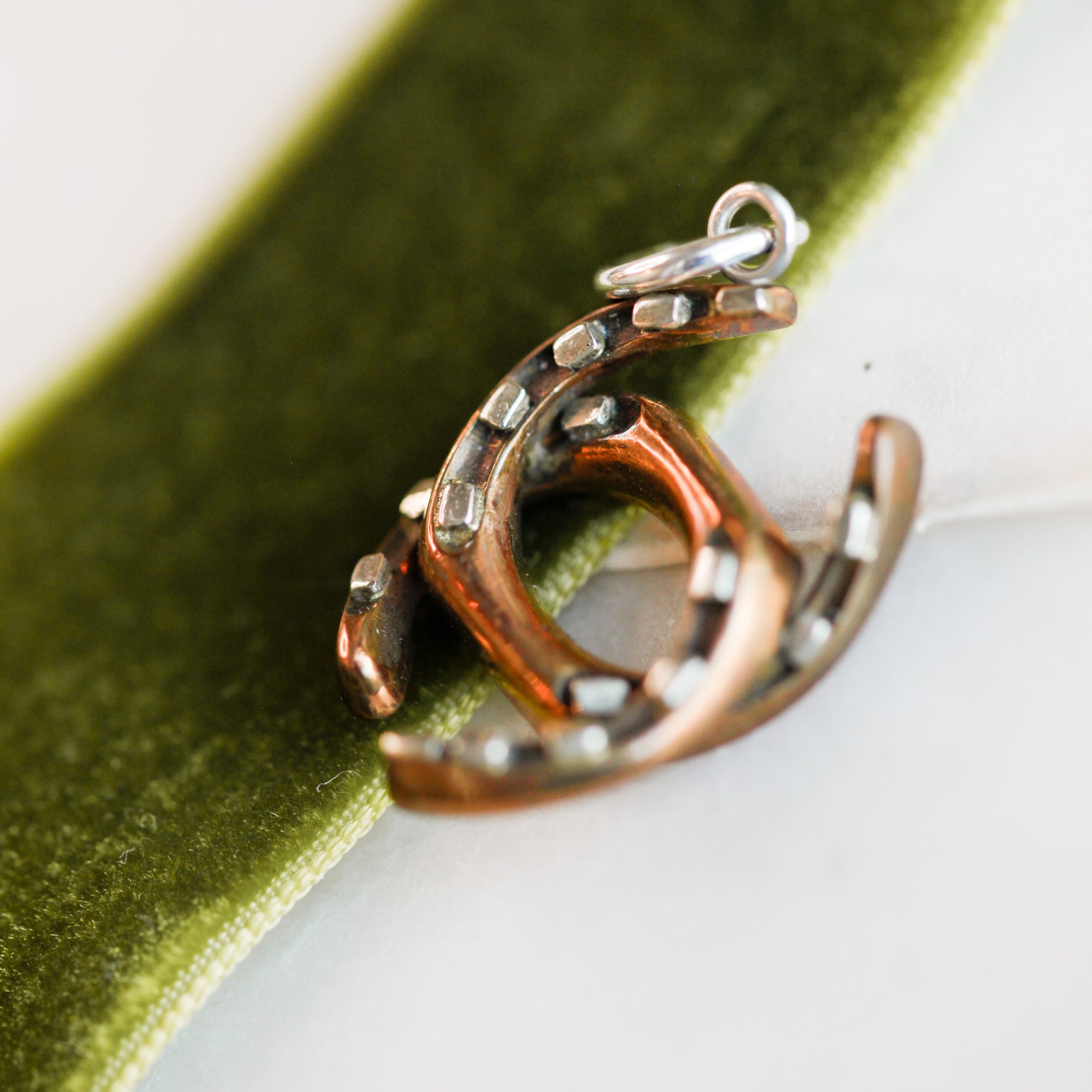 Double Horseshoe Charm