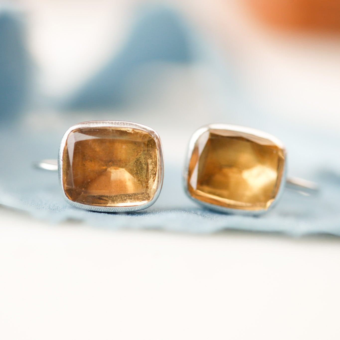 Porter Paste Earrings