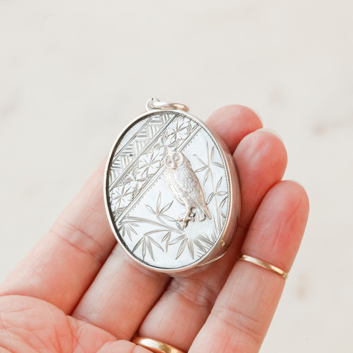 Athena Victorian Silver Owl & Bamboo Locket