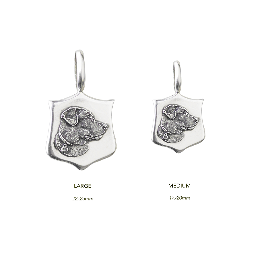 Custom Elias Pet Medallions