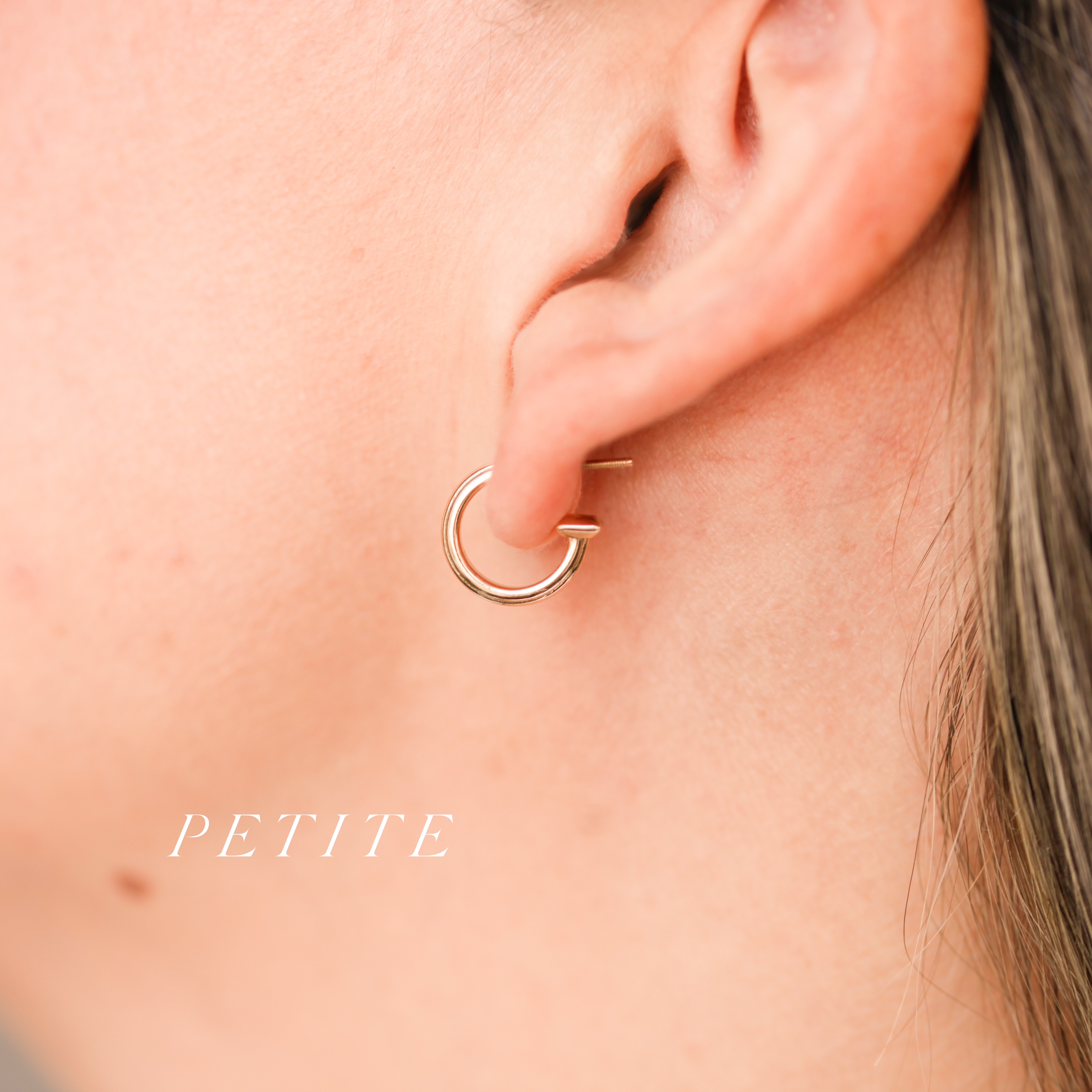 Signature Stud Hoops