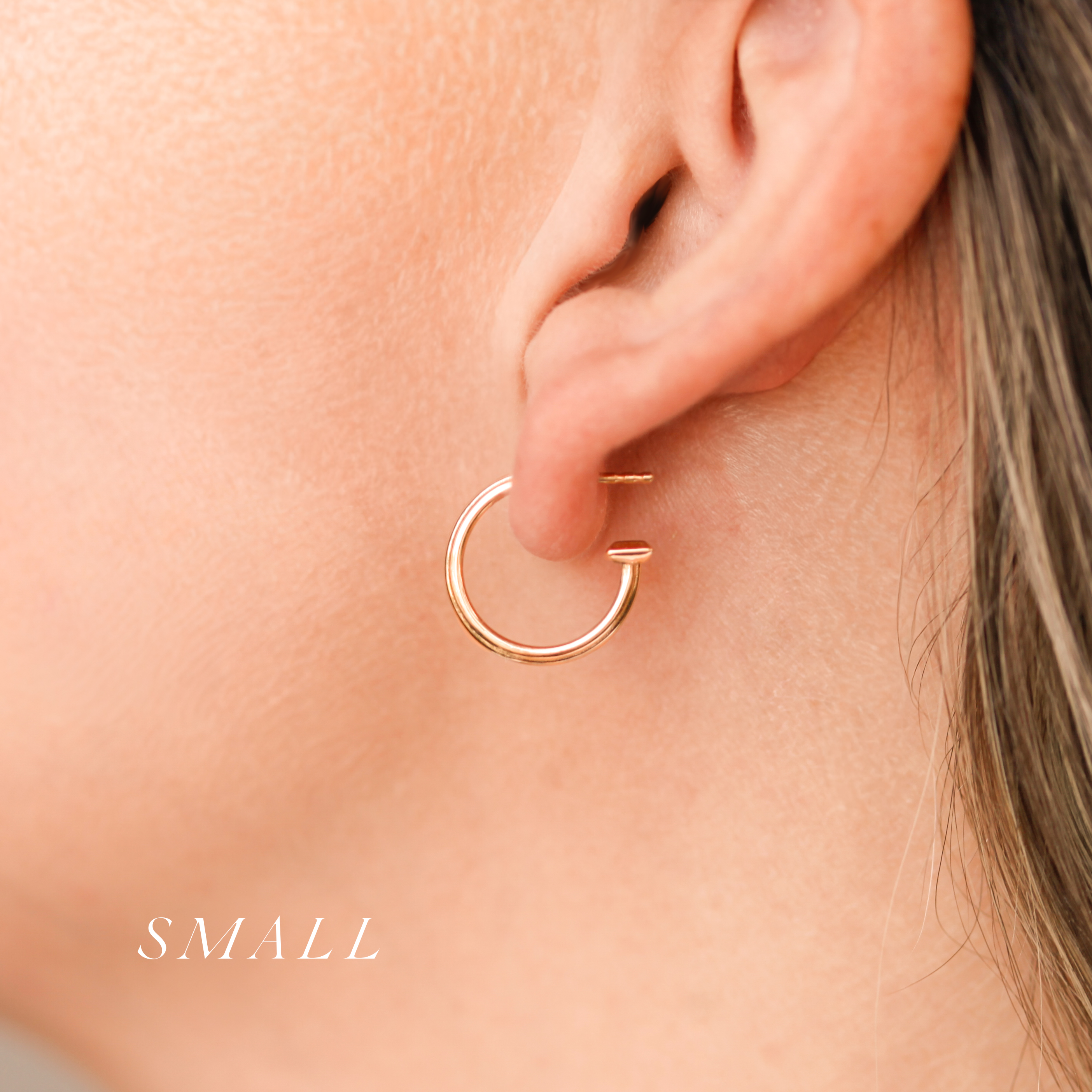 Signature Stud Hoops