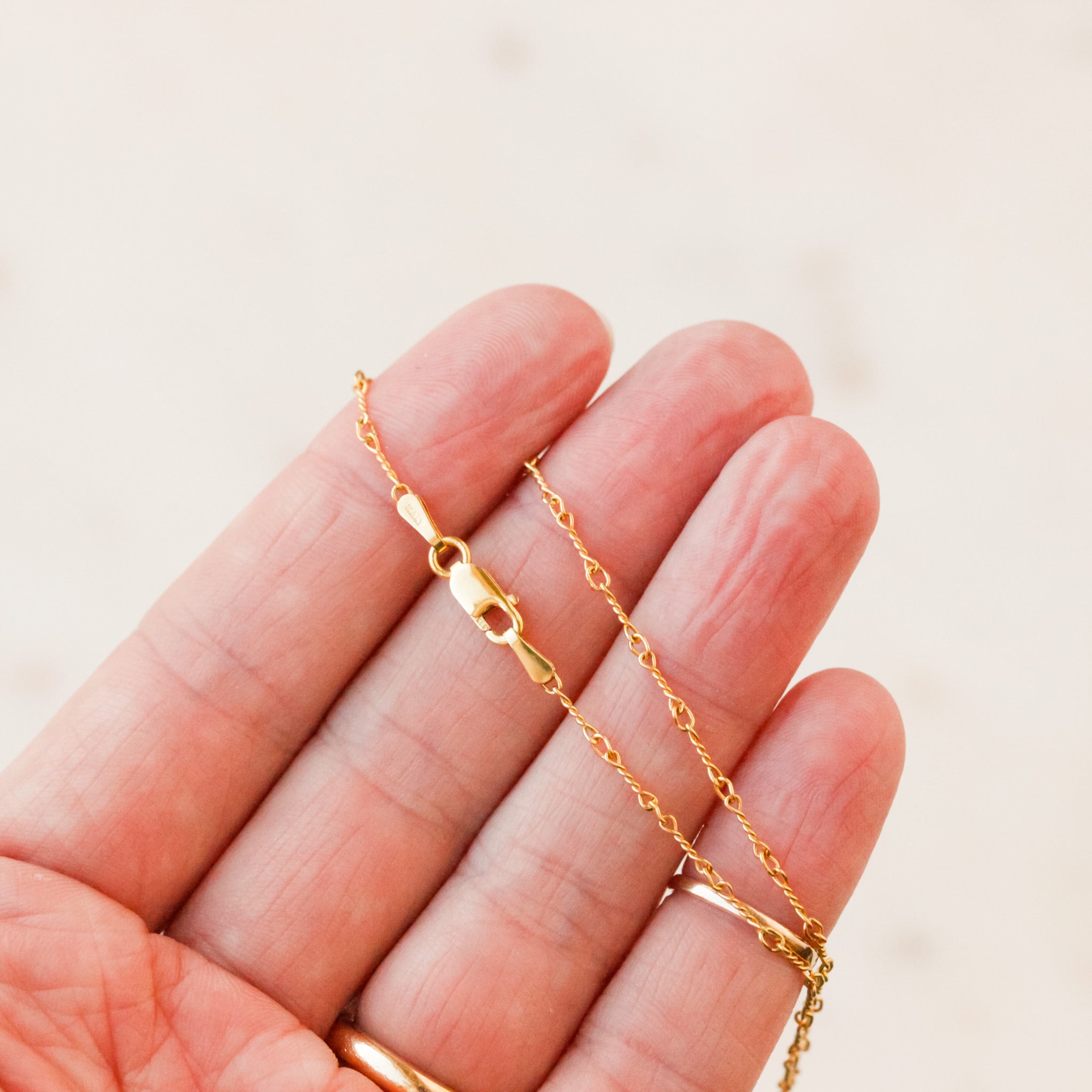 Delanie Twist Necklace