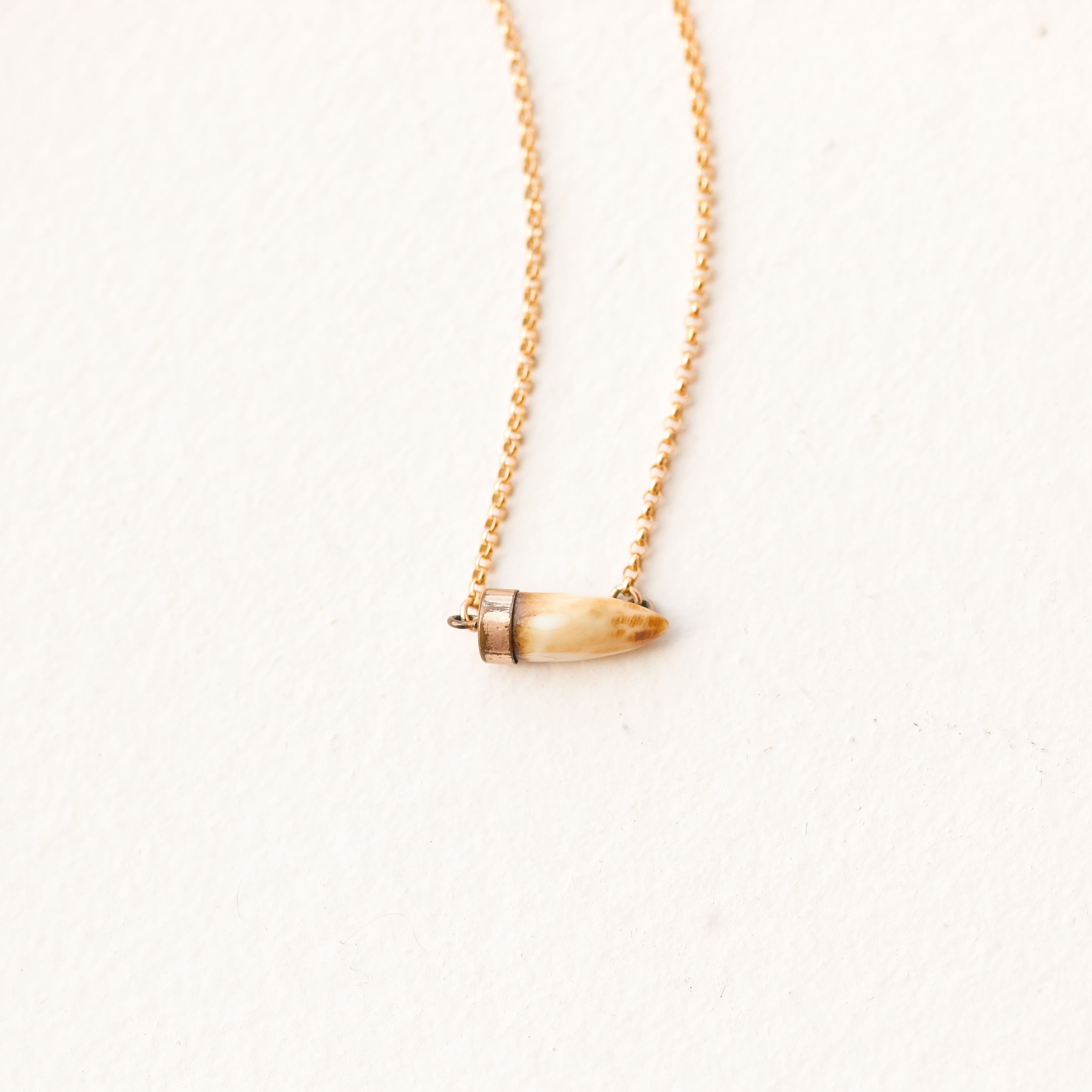 Victorian Hunter's Tooth Necklace