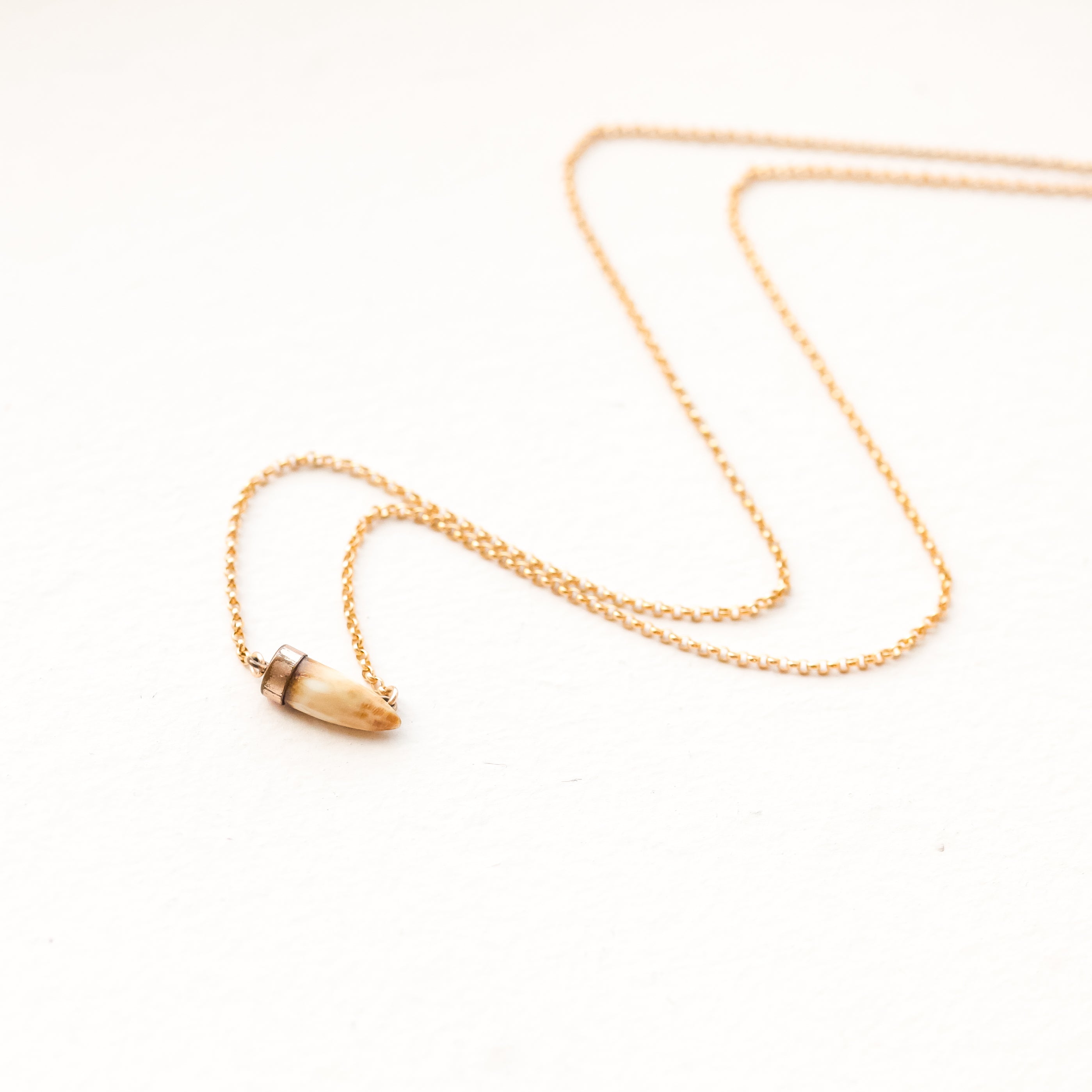 Victorian Hunter's Tooth Necklace