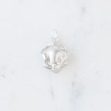 Sterling Silver Charm Collection