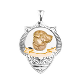Custom Medallions