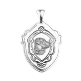 Custom Medallions