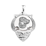 Custom Medallions