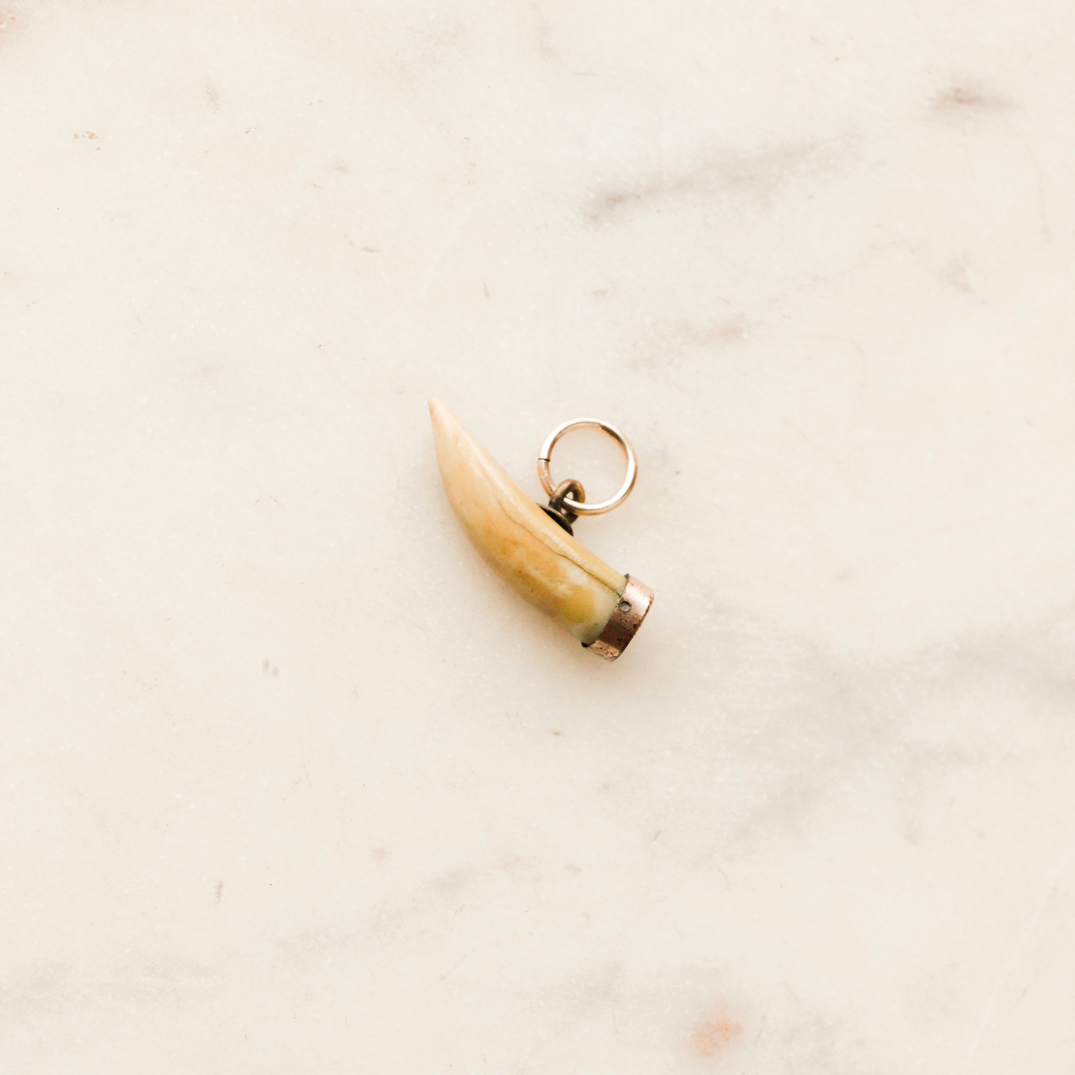 Saber Trophy Charm