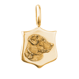 Custom Elias Pet Medallions