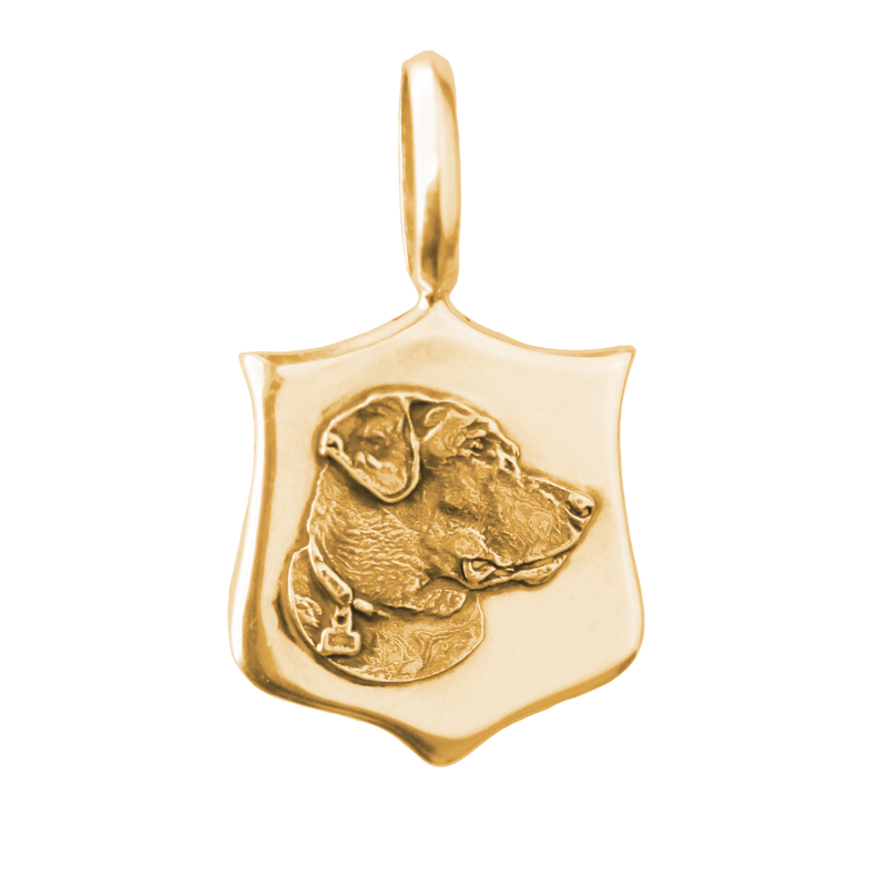 Custom Elias Pet Medallions