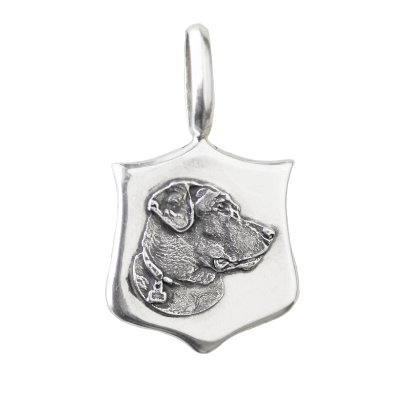 Custom Elias Pet Medallions
