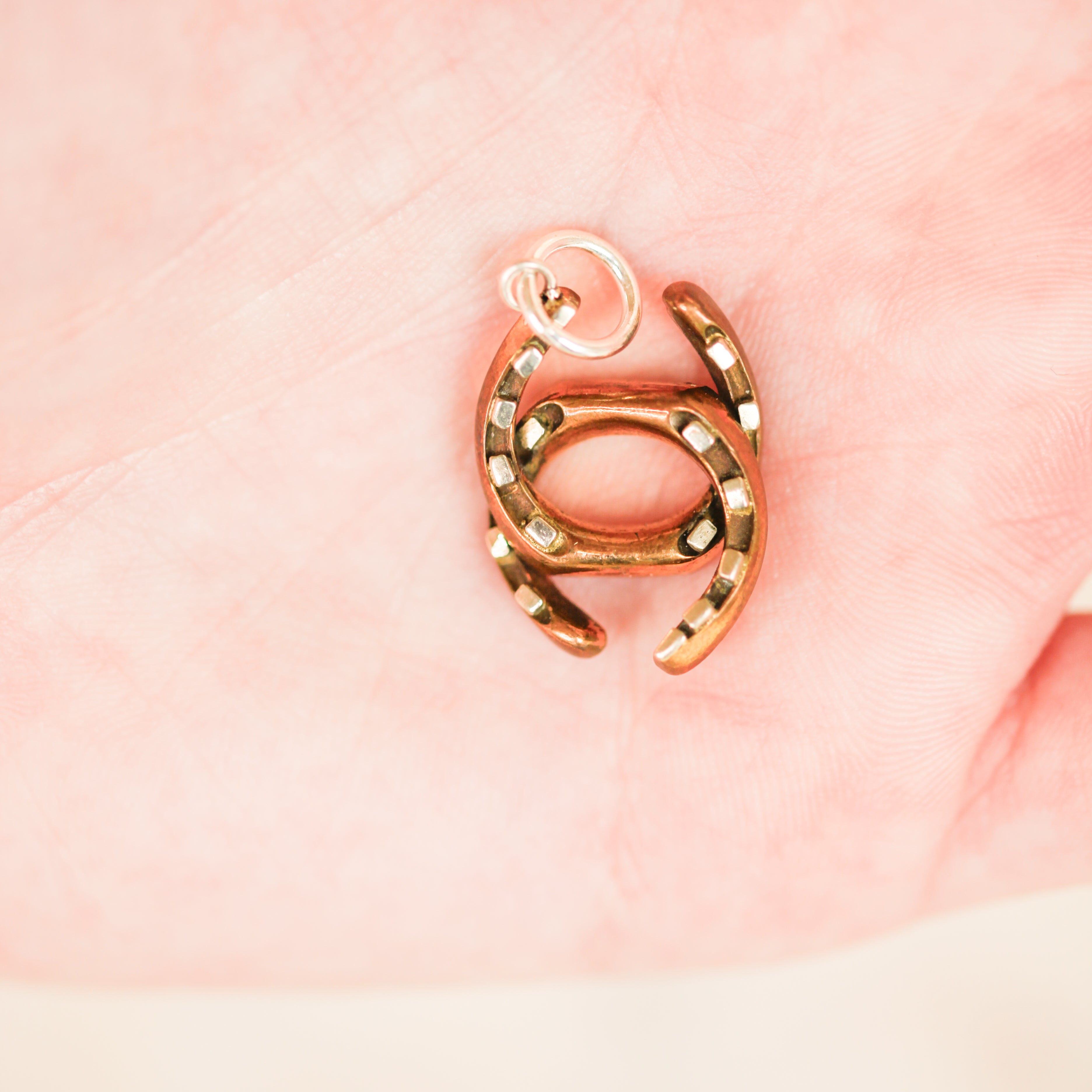 Double Horseshoe Charm