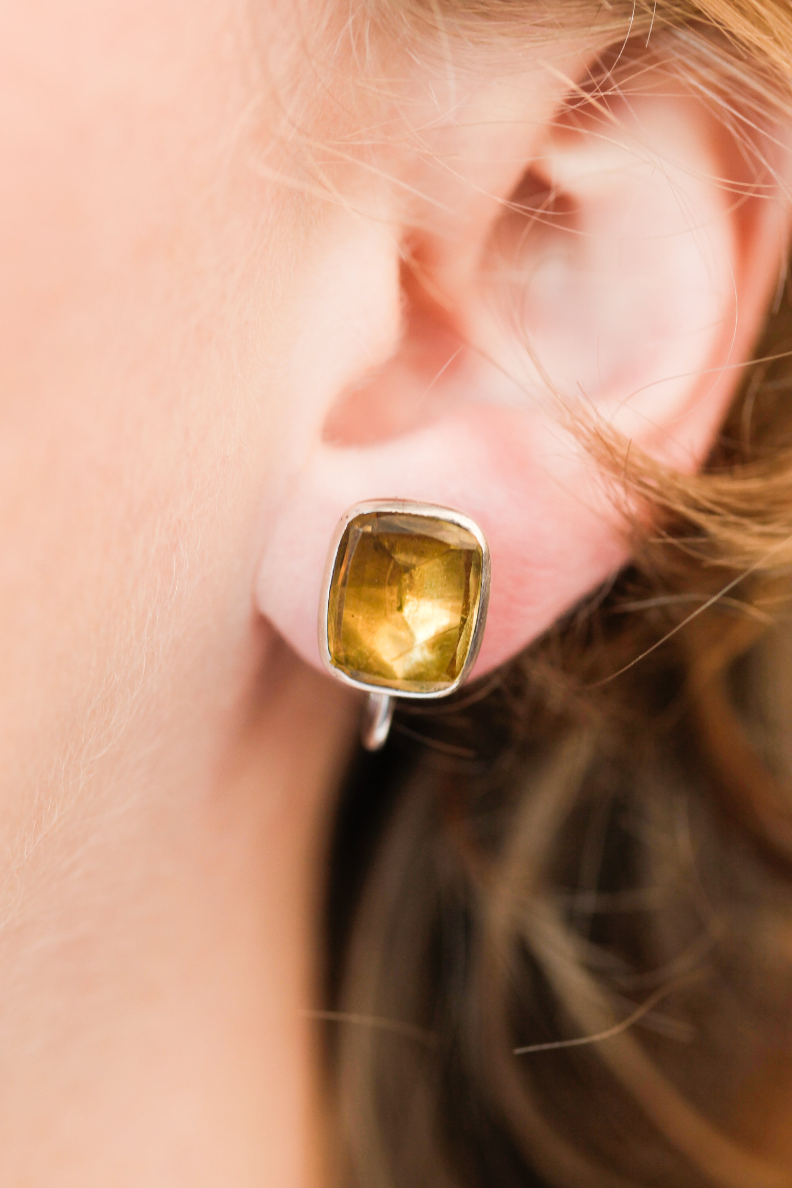 Porter Paste Earrings