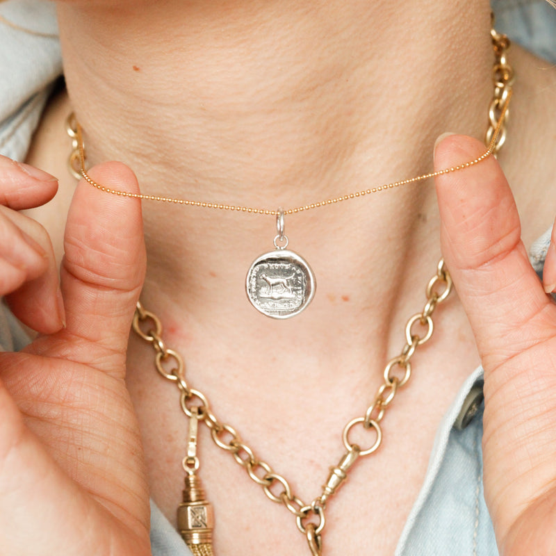"Faithful Friend" Silver Charm