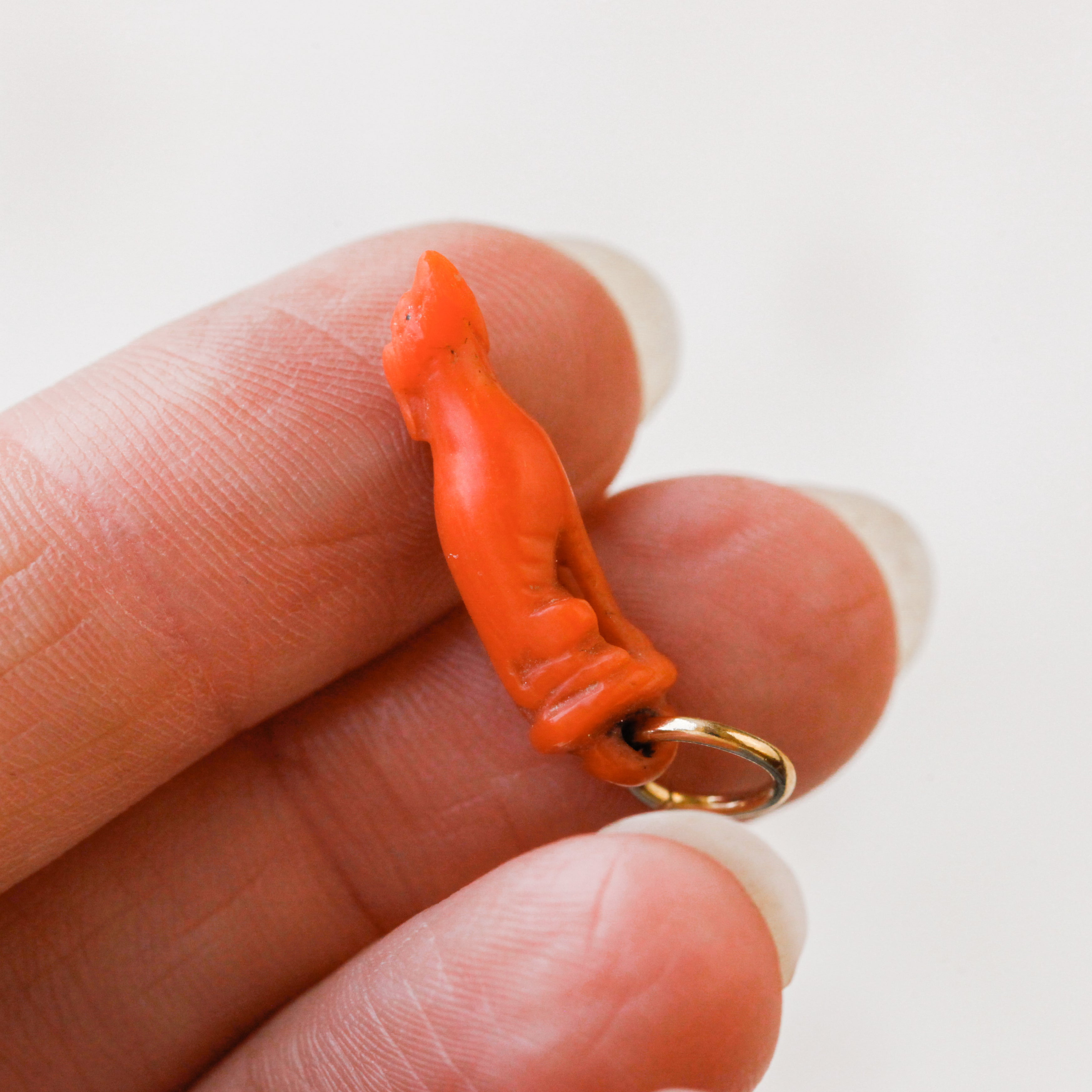 Carved Coral Hound