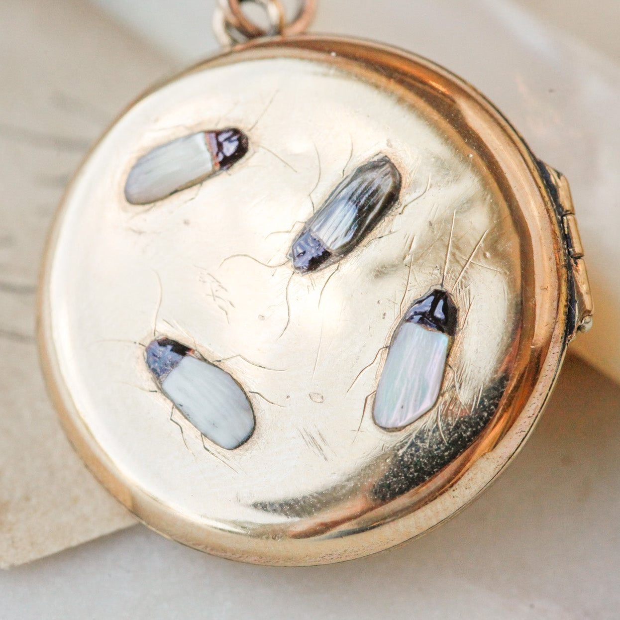 Victorian Shibayama Insect Locket