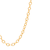 Large Charm Chain in Gold Filled