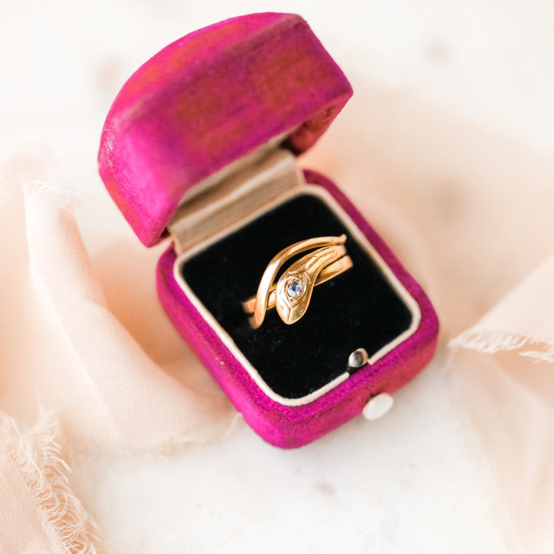 Anicette Diamond Serpent Ring