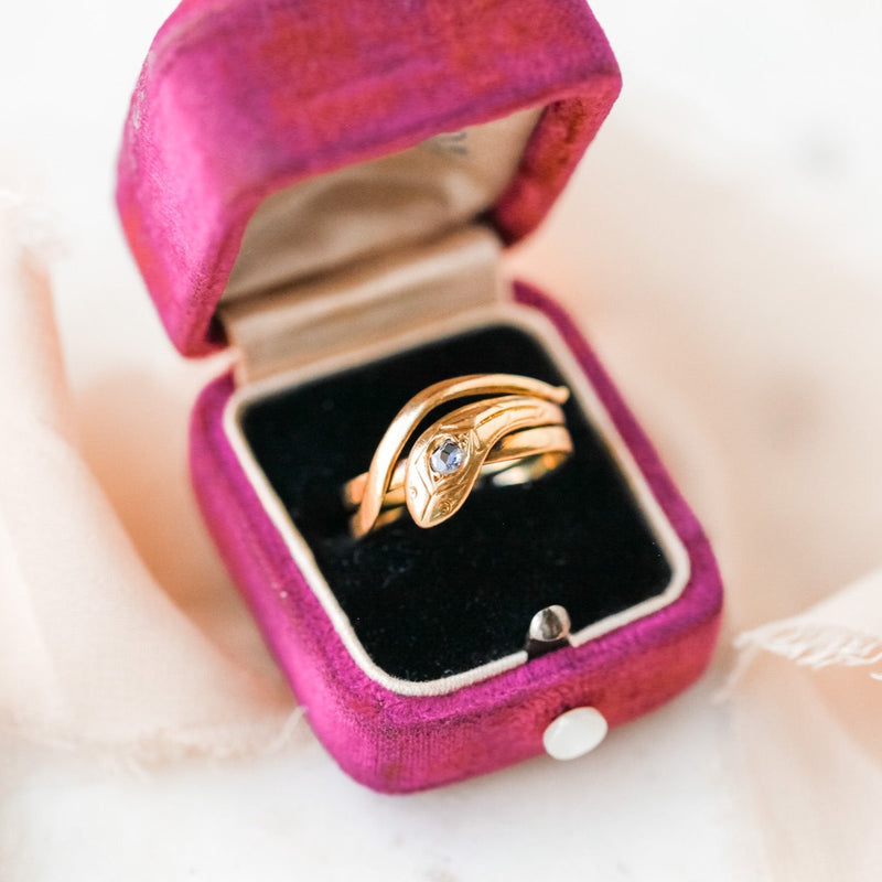 Anicette Diamond Serpent Ring