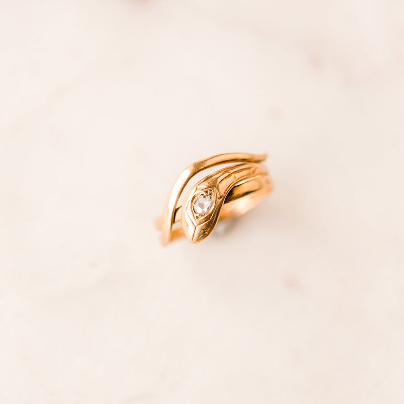 Anicette Diamond Serpent Ring