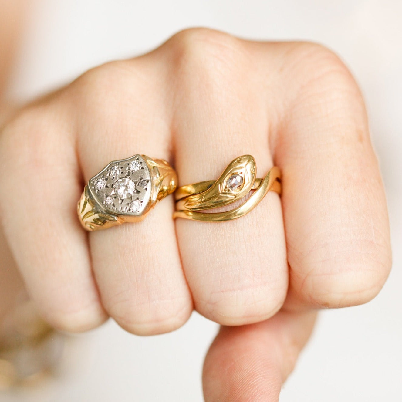 Anicette Diamond Serpent Ring