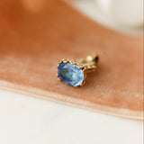 Blivvy Petite Fob