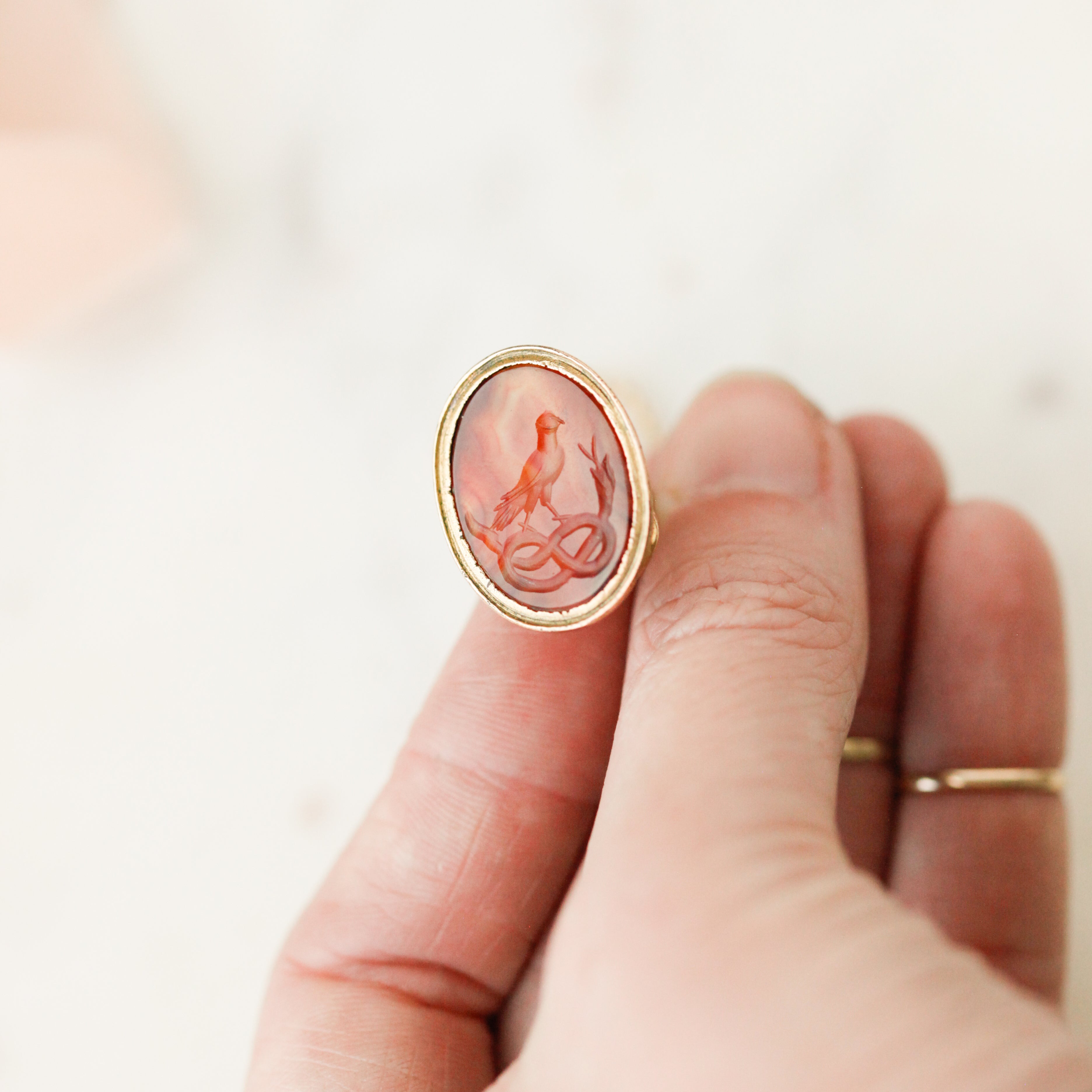 Dove + Ouroboros Necklace