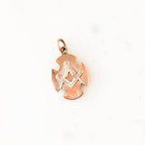 Masonic Enameled Charm