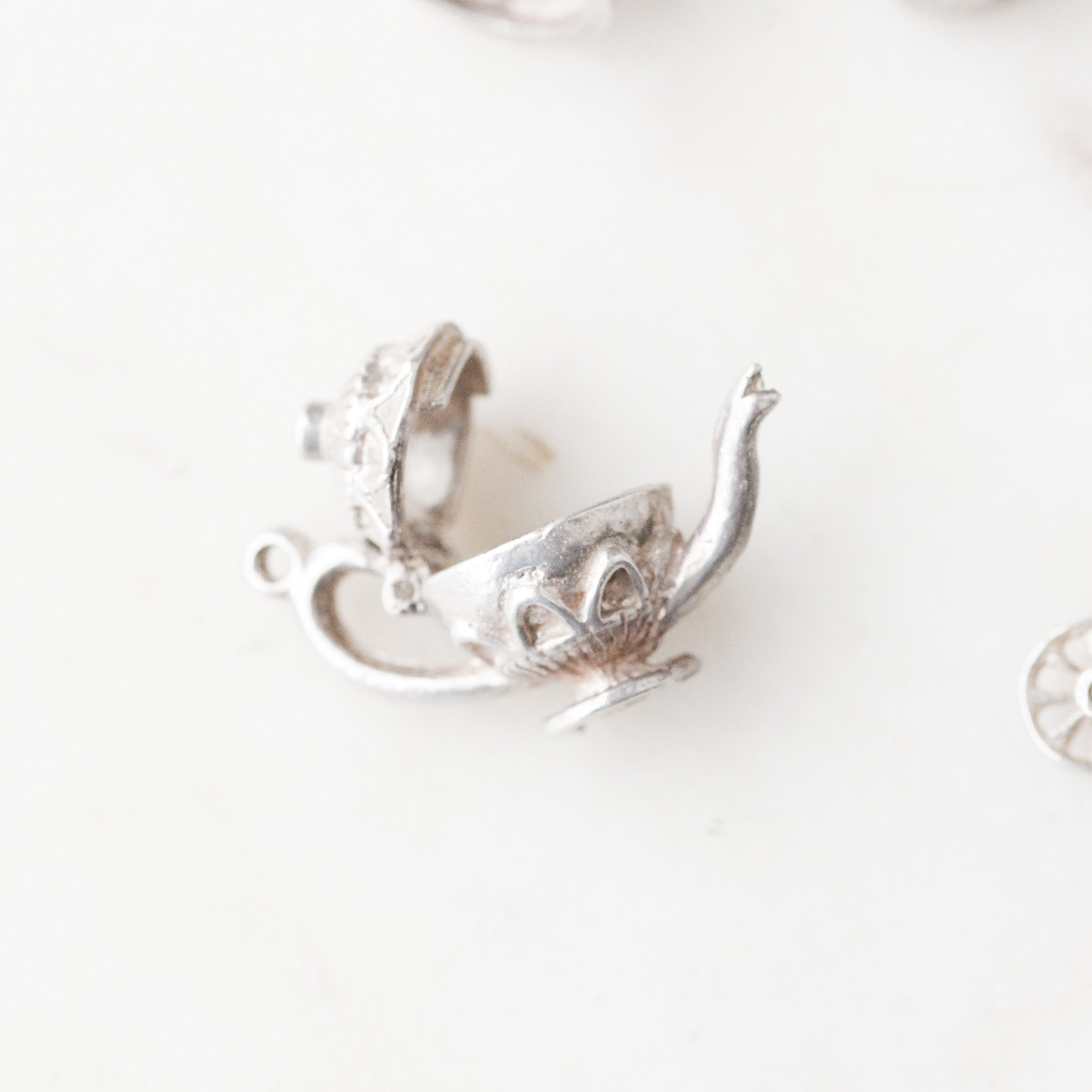 Silver Hinged Collector's Charms