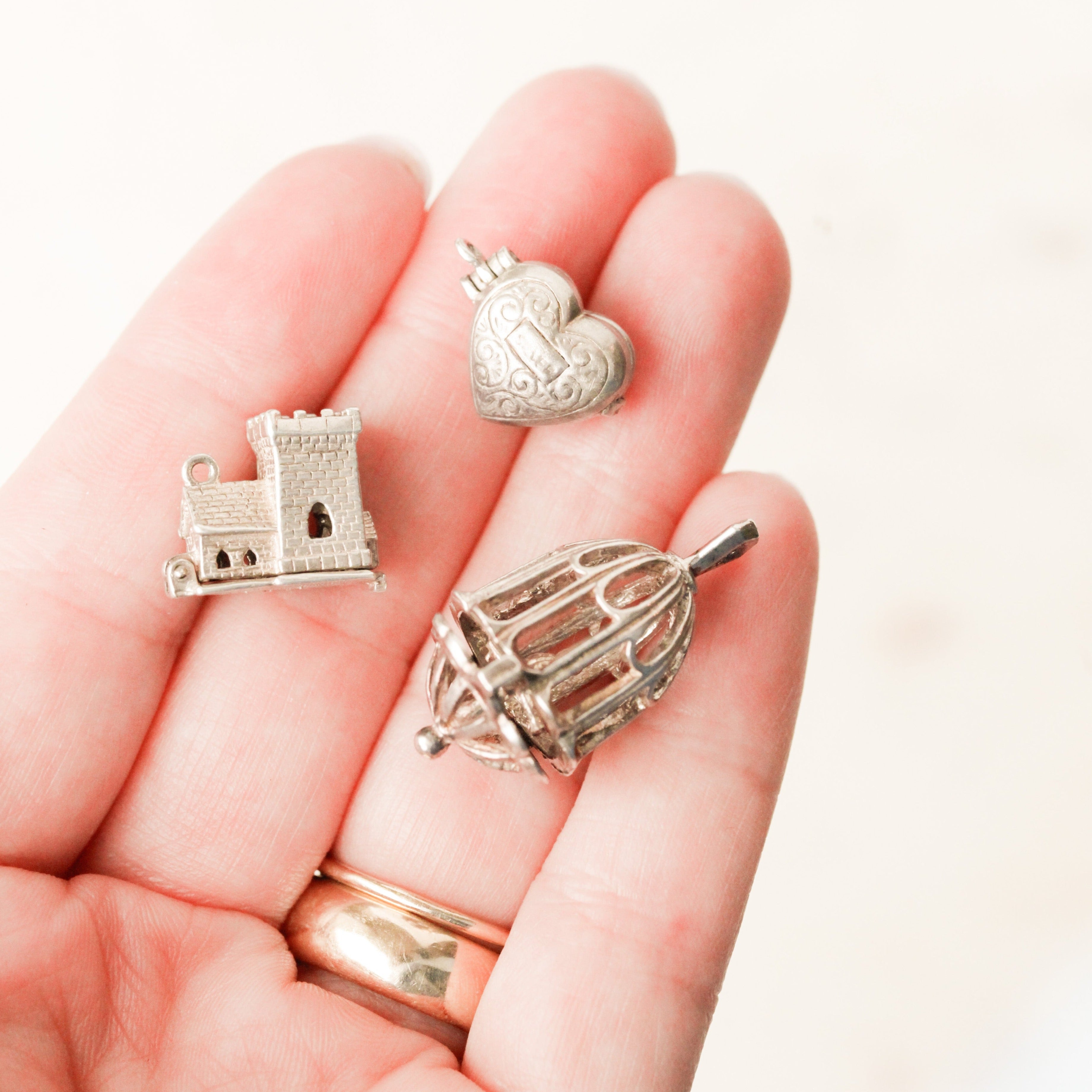 Silver Hinged Collector's Charms
