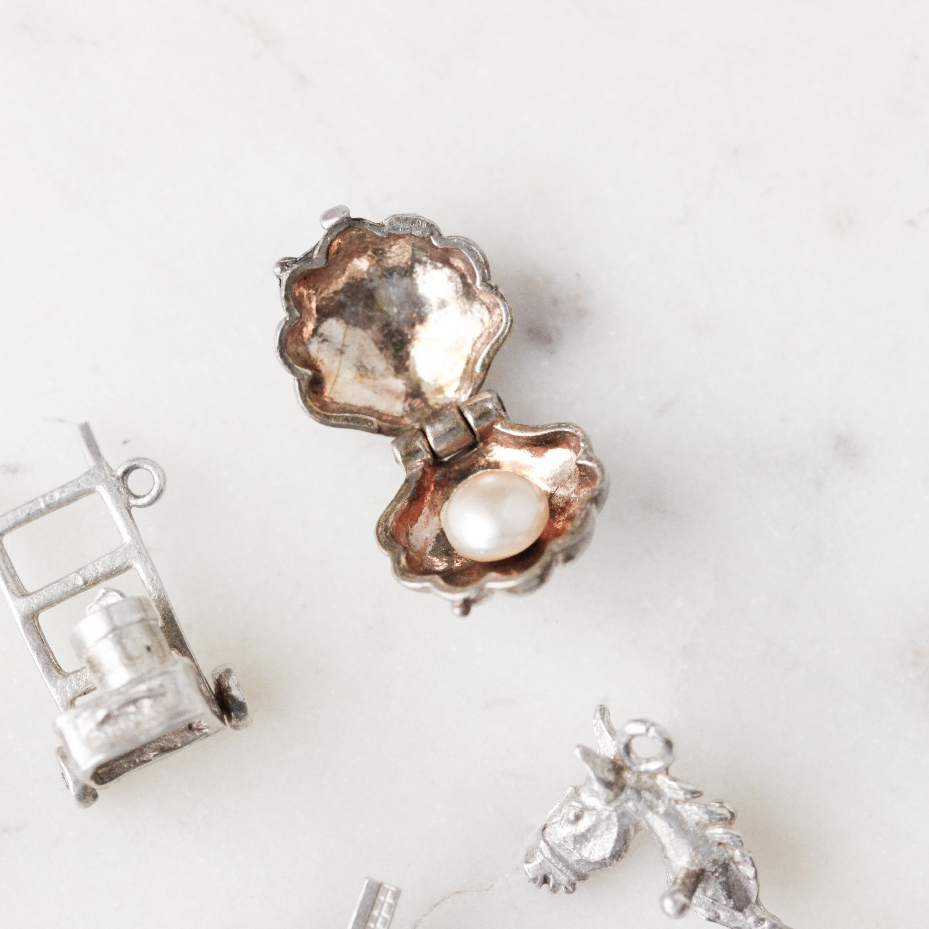 Silver Hinged Collector's Charms