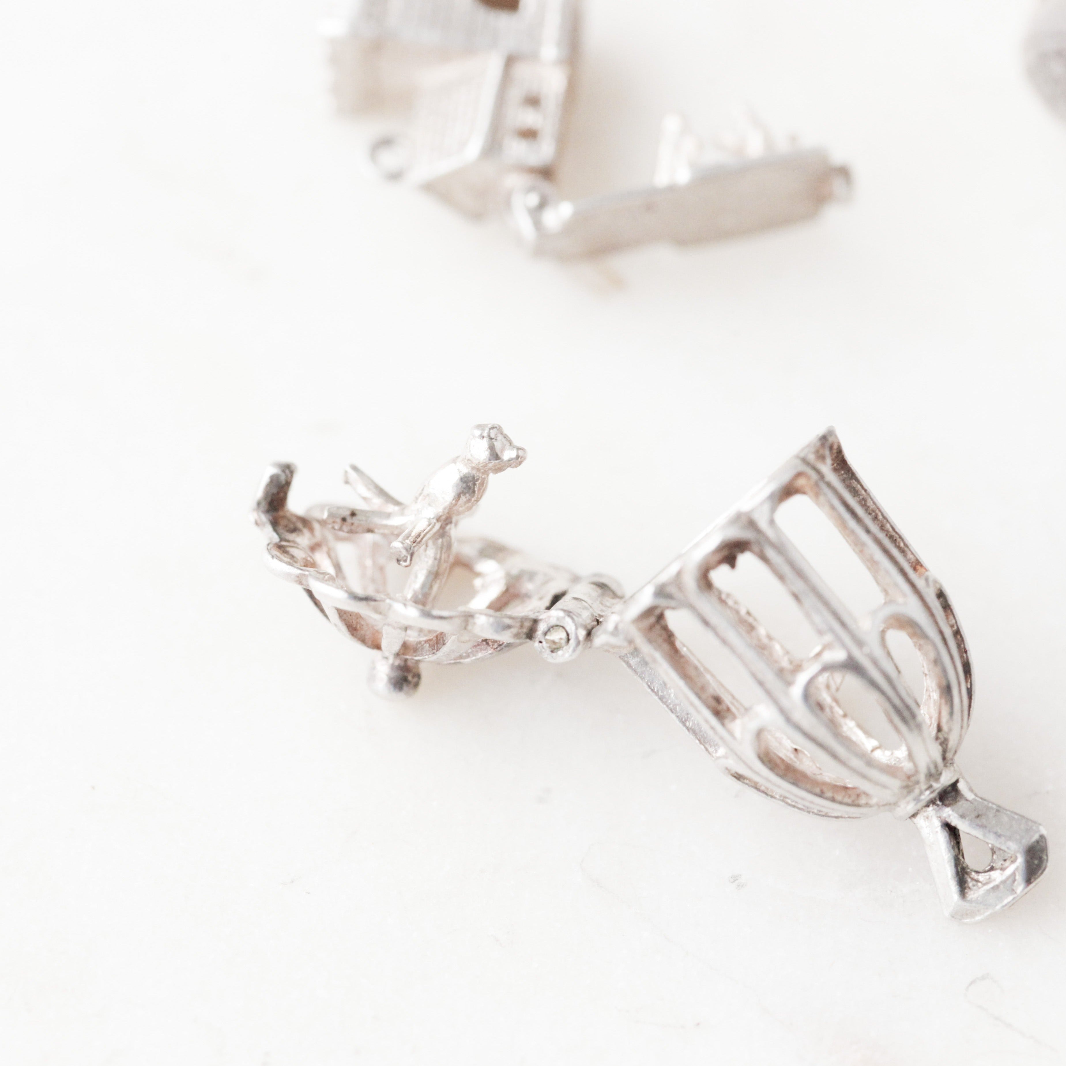 Silver Hinged Collector's Charms