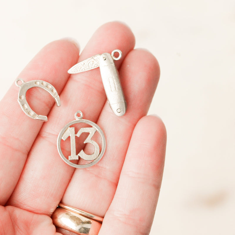 Silver Collector's Charms