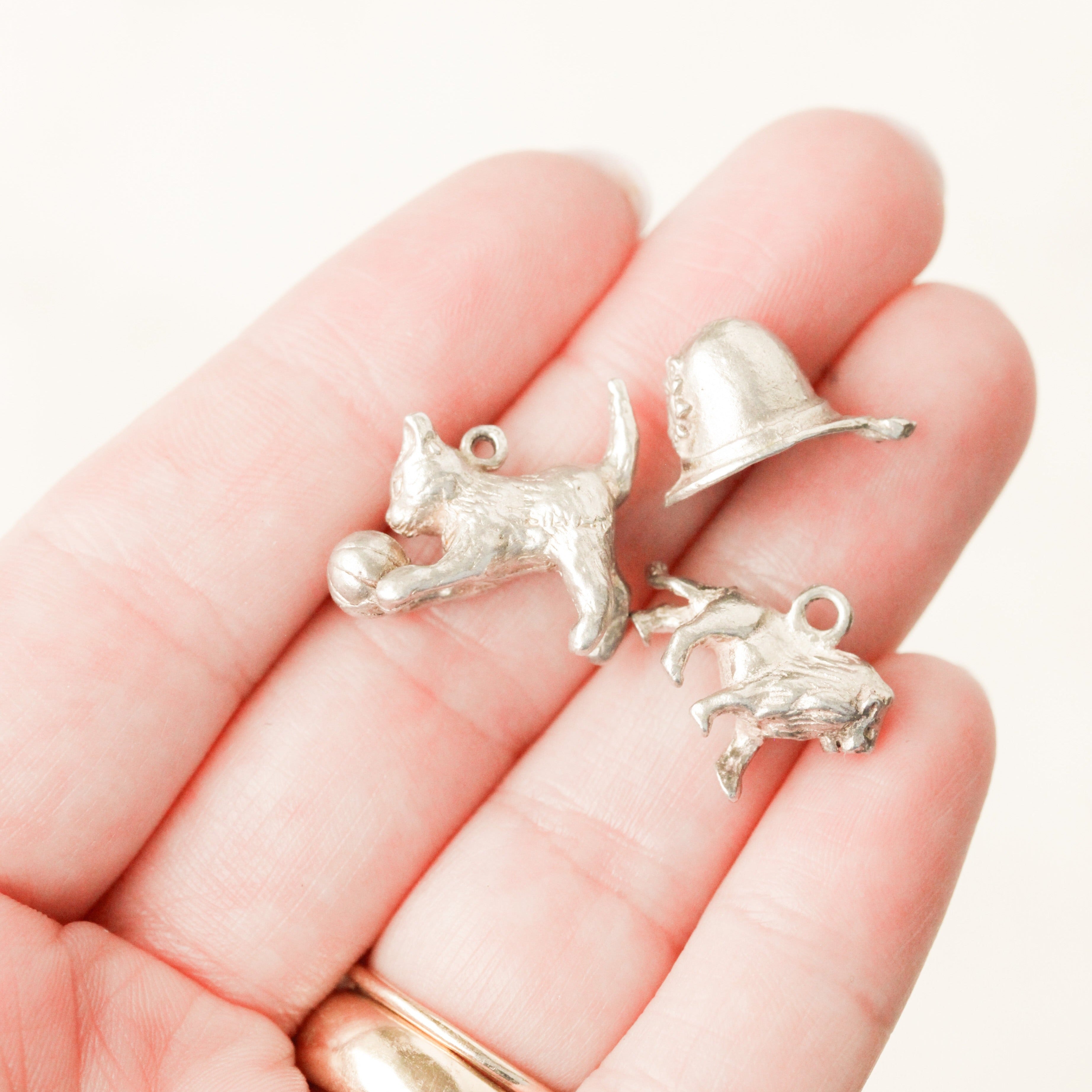 Silver Collector's Charms