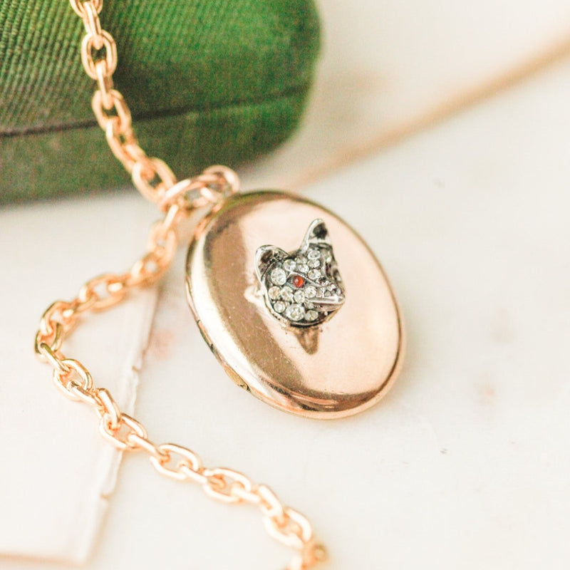 The Cunning Mr. Fox Locket