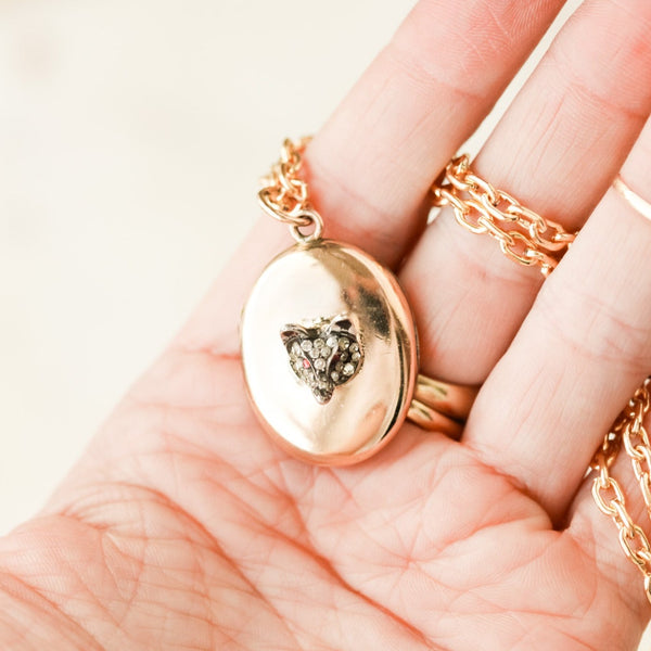 The Cunning Mr. Fox Locket