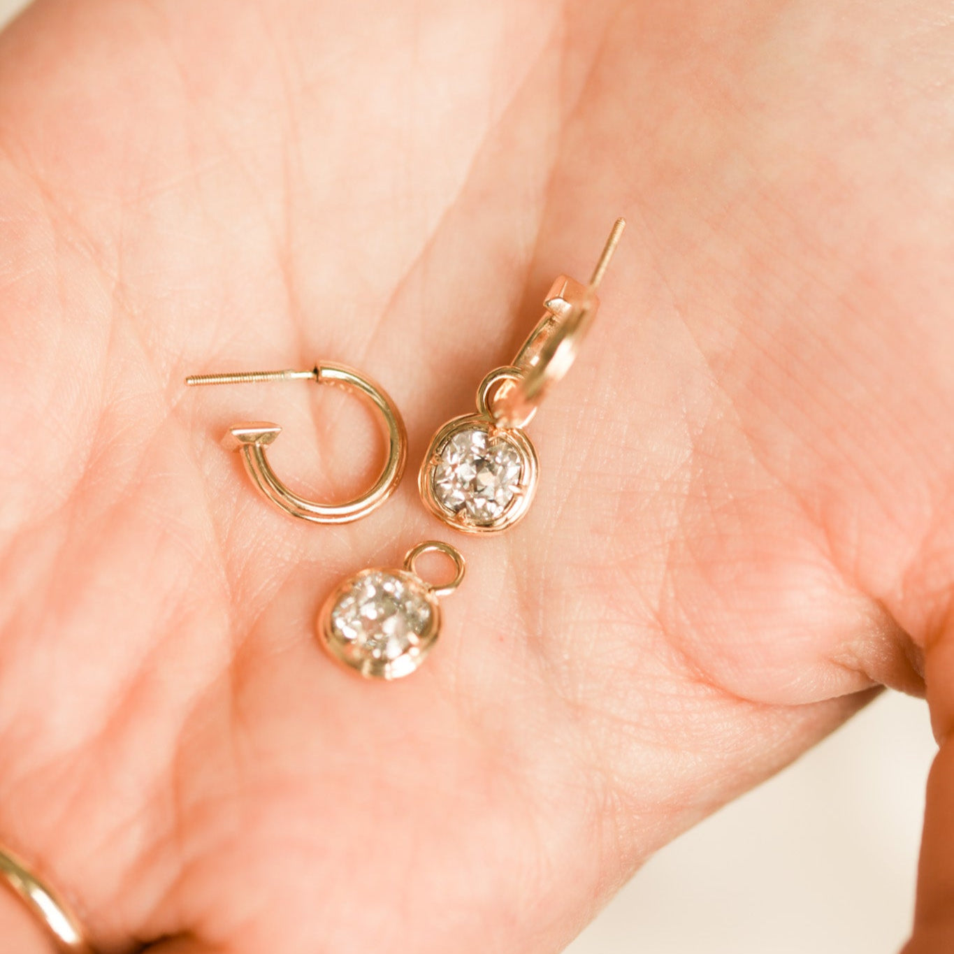 Signature Stud Hoops