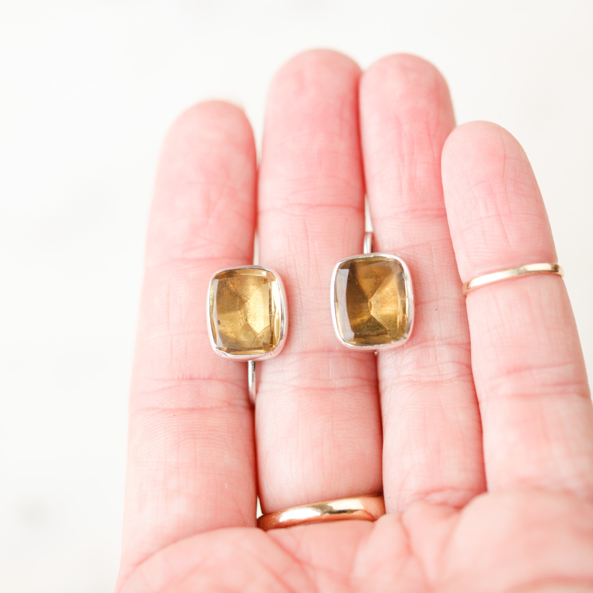 Porter Paste Earrings