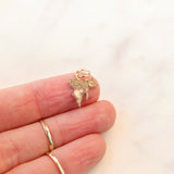 "Impossible Pig" Gold Charm