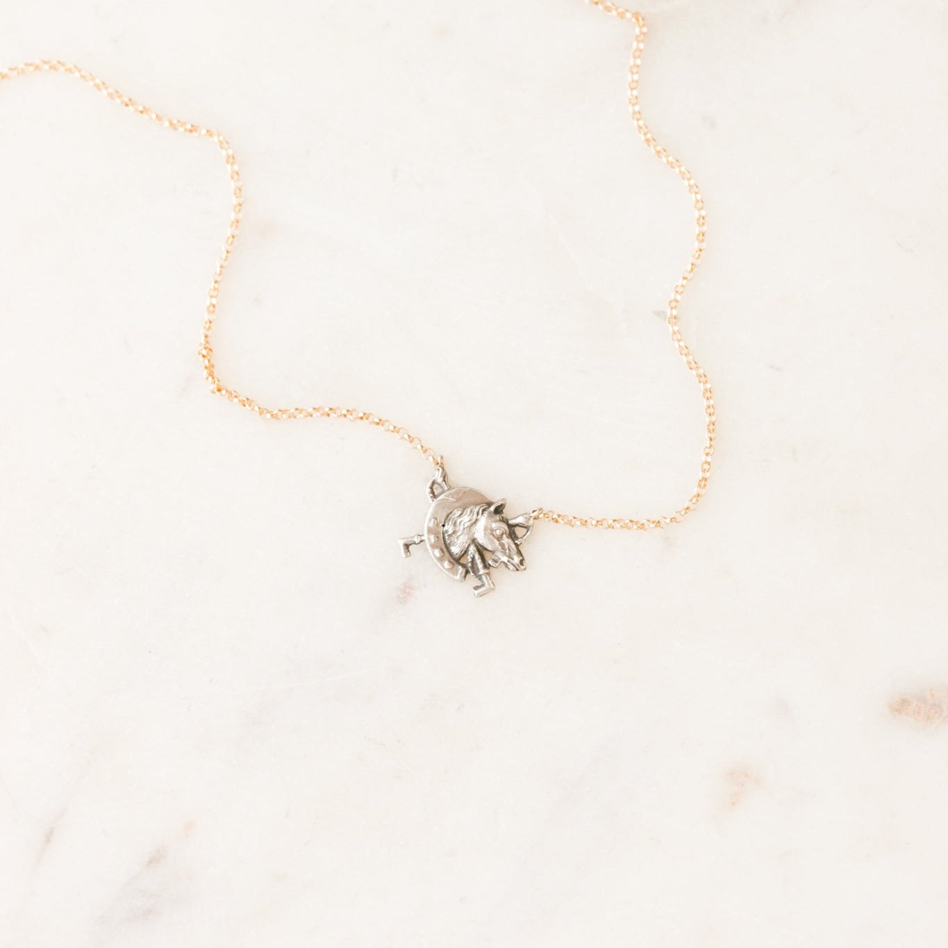 Silver Sportsman Horse + Horseshoe Necklace